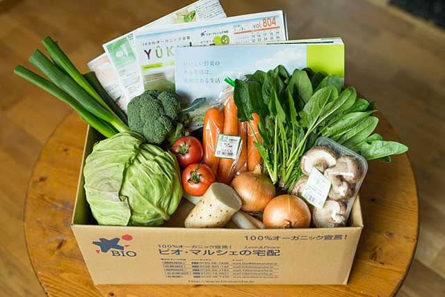 有機野菜のお試しセット(国産有機野菜8~9品目)