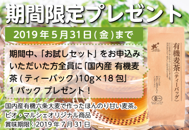 期間限定プレゼント 有機麦茶(ティーバッグ)<10g×18包>