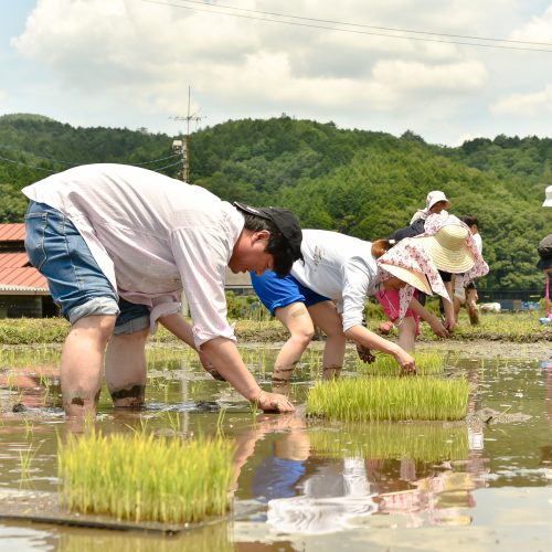 畑イベント