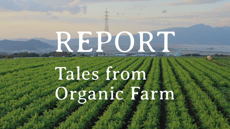 REPORT|Tales from Organic Farm