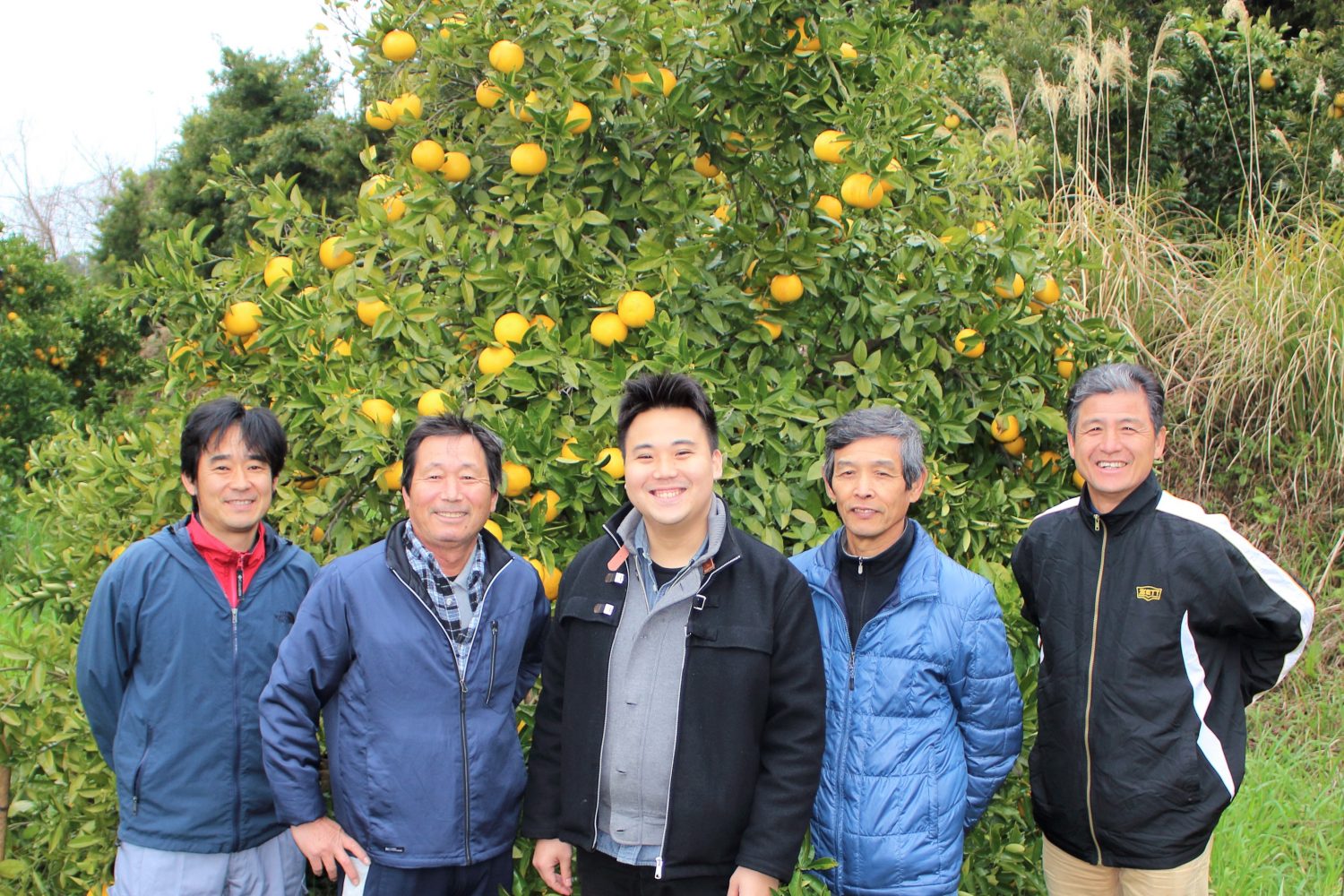 大土橋シェフ澤村さん訪問 柑橘畑で記念撮影