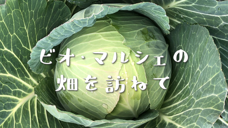 ビオ・マルシェの畑を訪ねて