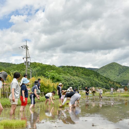 畑イベント