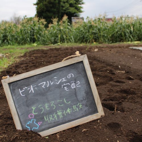 畑イベント