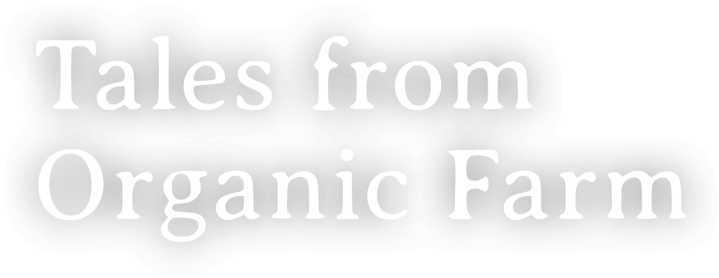 Tales from Organic Farm