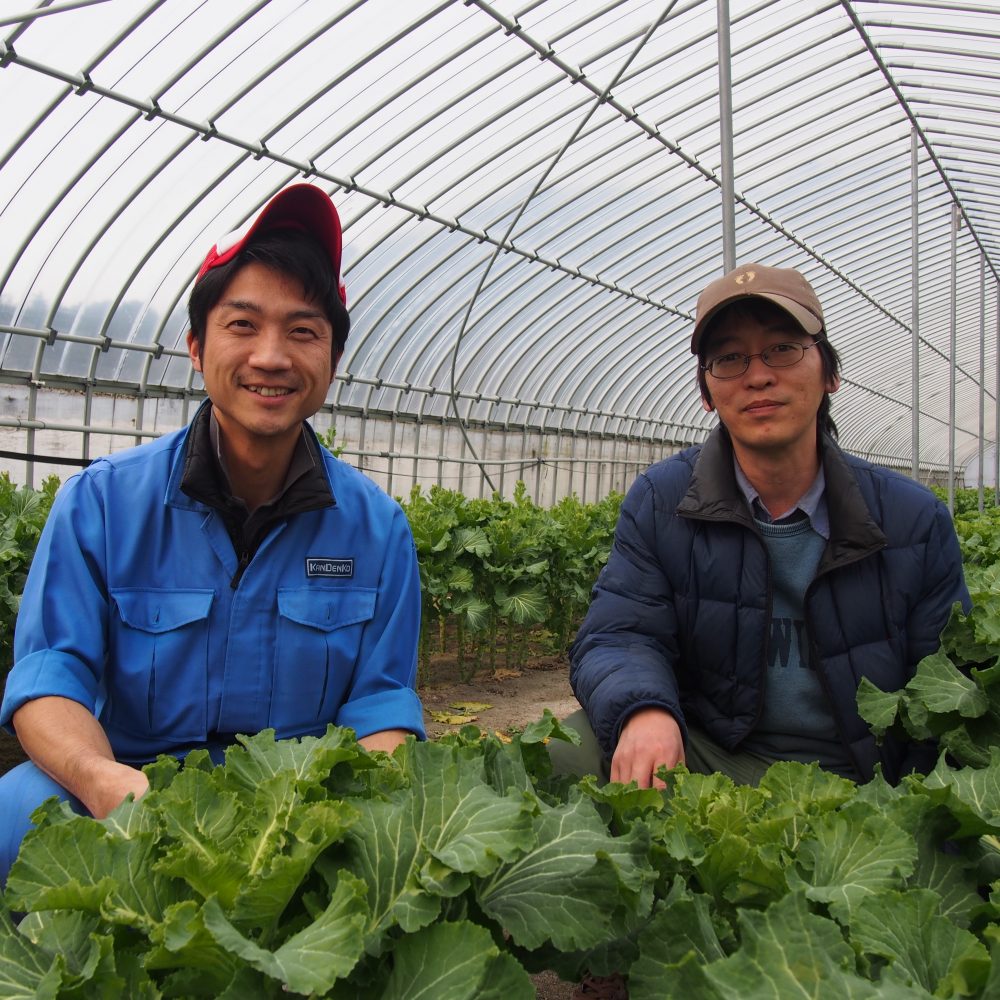 島根県・やさか共同農場】山あいの地域で代々受け継がれる有機農業の畑