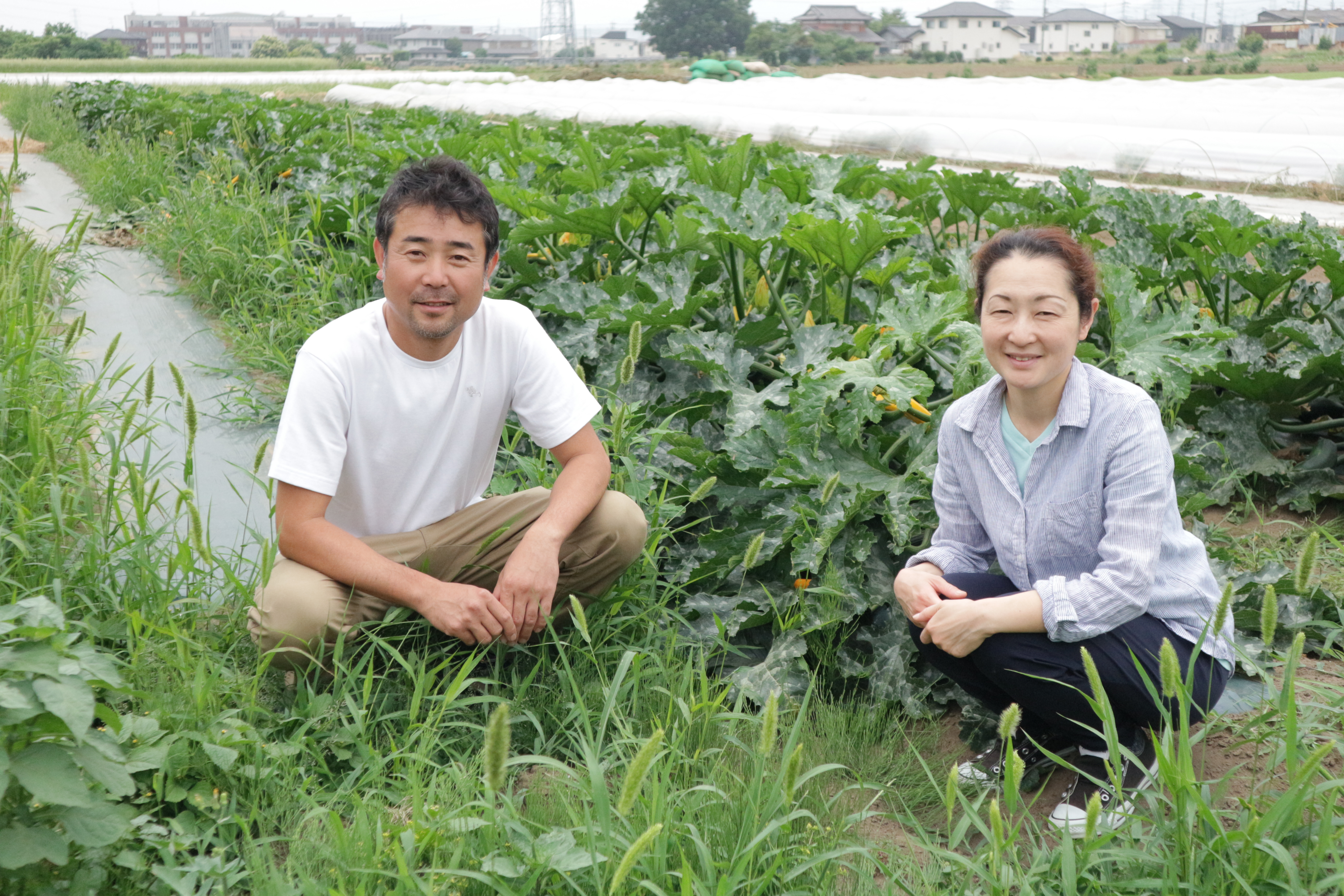 11月26日（日）埼玉県・瀬山農園にて「有機大根＆有機小かぶの収穫体験
