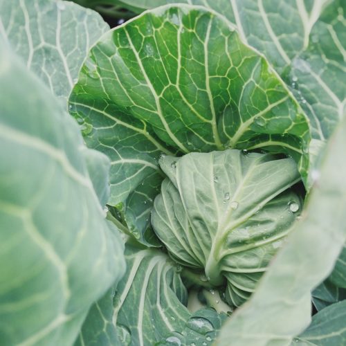 99602185d5487c7a72463ba41dc944 99602185d5487c7a72463ba41dc944