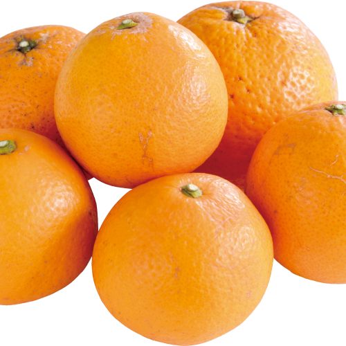 有機清見オレンジ